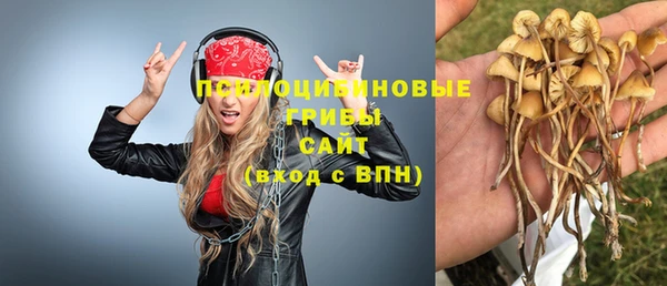 прущий лед Алзамай