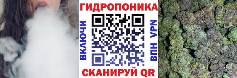 Бошки марихуана гибрид  нарко площадка официальный сайт  Анжеро-Судженск  купить закладку  МЕГА вход 